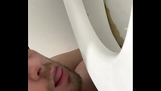 Toilet Pig licking and cleaning a public toilet