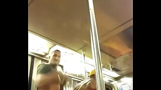 Two Bears Fucking On A Public Train